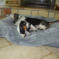 PetFusion Premium Dog and Cat Blanket, Grey or Brown – Essentials for Dogs - Quilted / X-Large (60 x 48") / Grey - image 3