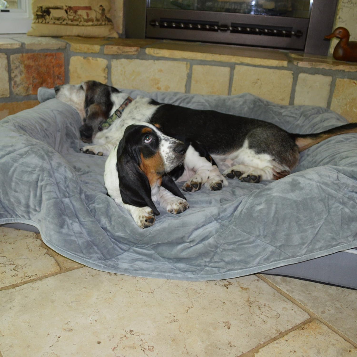 PetFusion Premium Dog and Cat Blanket, Grey or Brown – Essentials for Dogs - Quilted / X-Large (60 x 48") / Grey - image 3