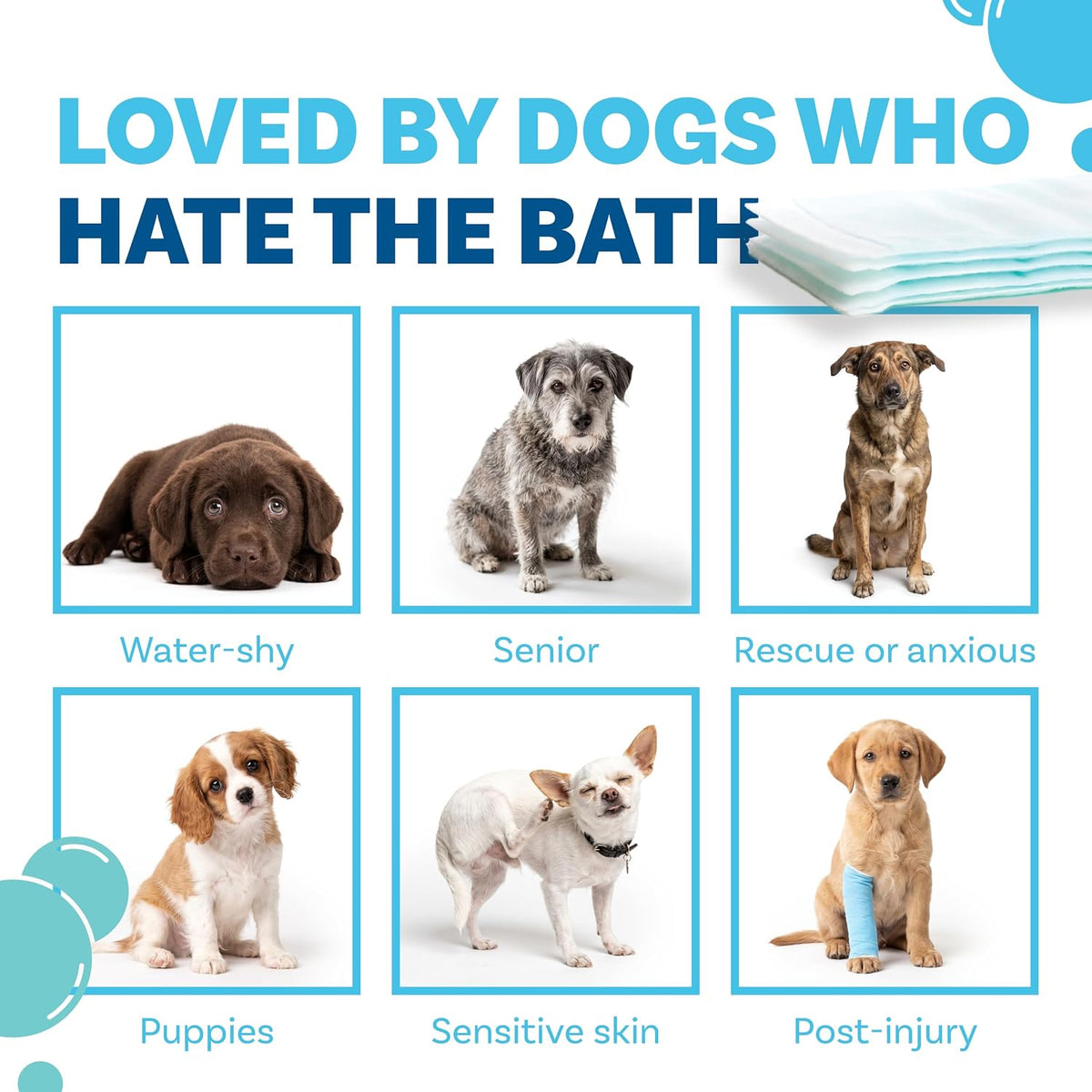 ScrubbyPet No Rinse Pet Wipes, Use Pet Bathing - 10 Count