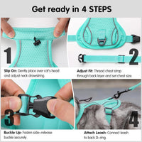 Dotoner Escape Proof Cat Harness and Leash Set Adjustable Soft Mesh - Turquoise / Large - image 3