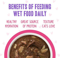 Weruva B.F.F. OMG - Best Feline Friend Oh My Gravy!, Rainbow A Gogo Variety Pack! Cat Food, 3oz Pouch (Pack of 12)