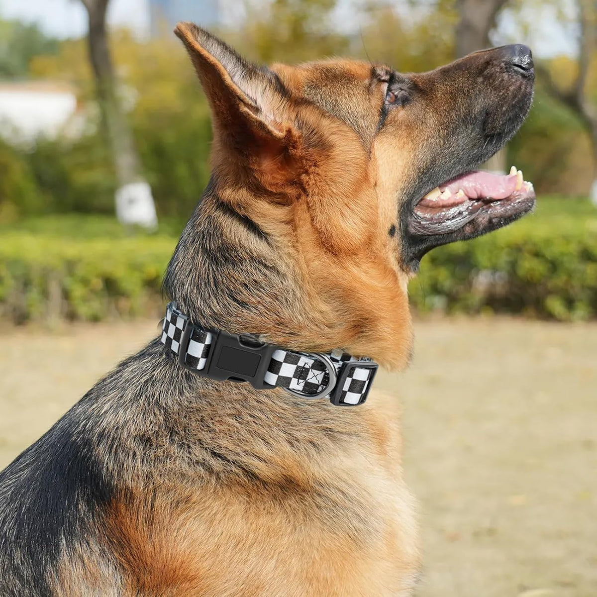 Kazazoo Hands-Free Dog Leash Adjustable Length 5-8 Ft - Plaid black / S - image 2