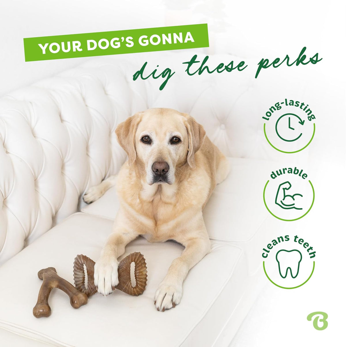 Benebone Medium 4-Pack Dog Toys for Aggressive Chewers - Large / Wishbone/Dental - image 3