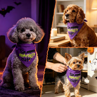 Halloween Dog Bandanas with No Tricks Sign - So Franken Cute, Purple / Small - image 3