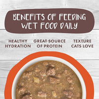 Weruva Classic Cat Stews!, Taco Stewsday with Beef, Chicken & Salmon in Gravy, 2.8oz Can (Pack of 12)