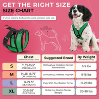 Gooby Comfort X Head-in Dog Harness, Choke-Free - X-Large Chest (20.5-28") / Hunter Green - image 3