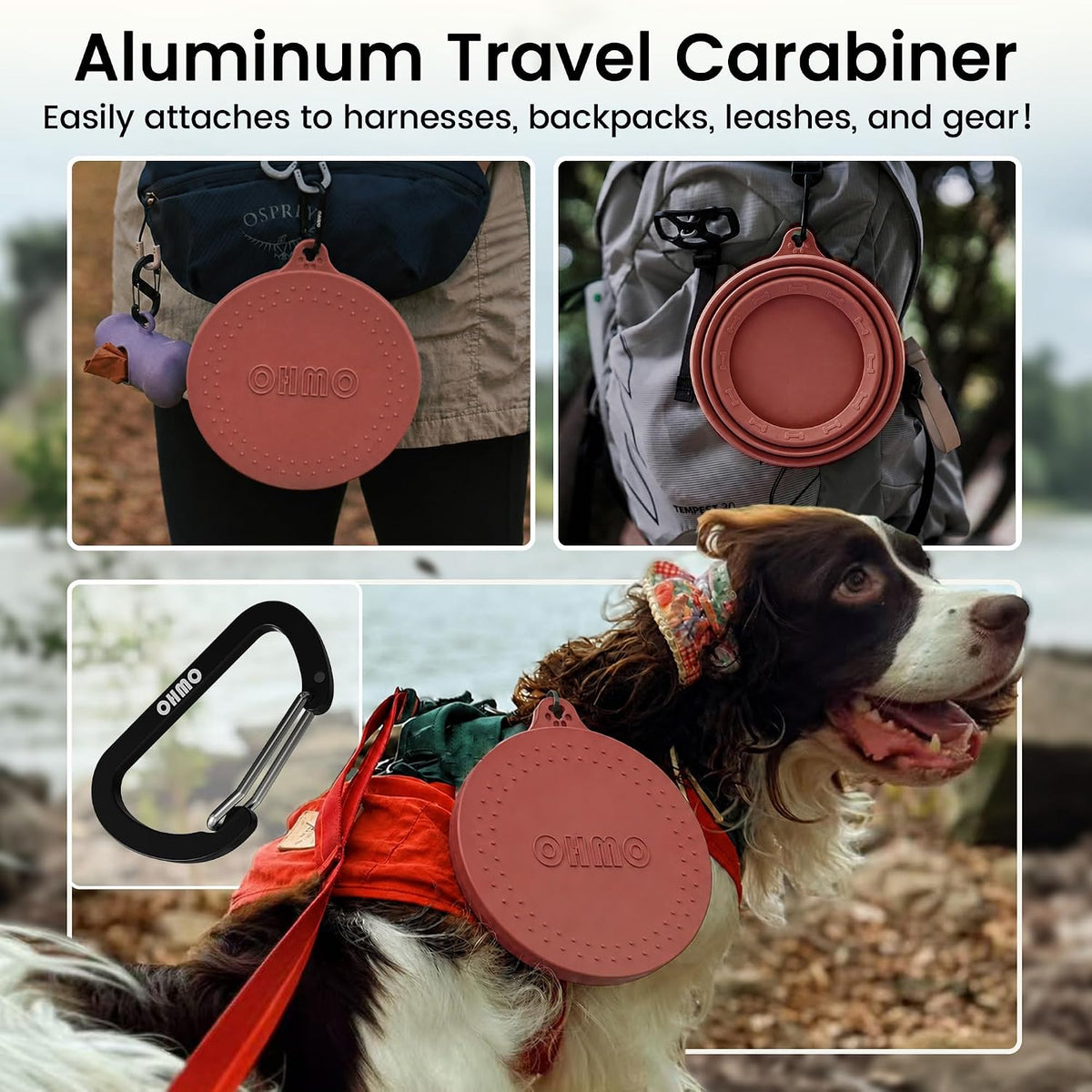 OHMO Spill Proof Collapsible Dog Bowl - 34oz / Erythrinus - image 4