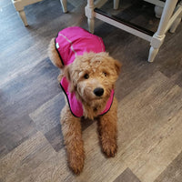 Mile High Life Dog Raincoat - S Chest 22"-25" / Hot Pink - image 4