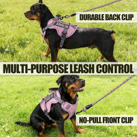 Dog Harness and Leash Set for Large Dogs - Pink / S - image 2