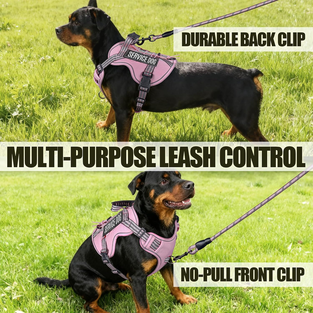 Dog Harness and Leash Set for Large Dogs - Pink / S - image 2