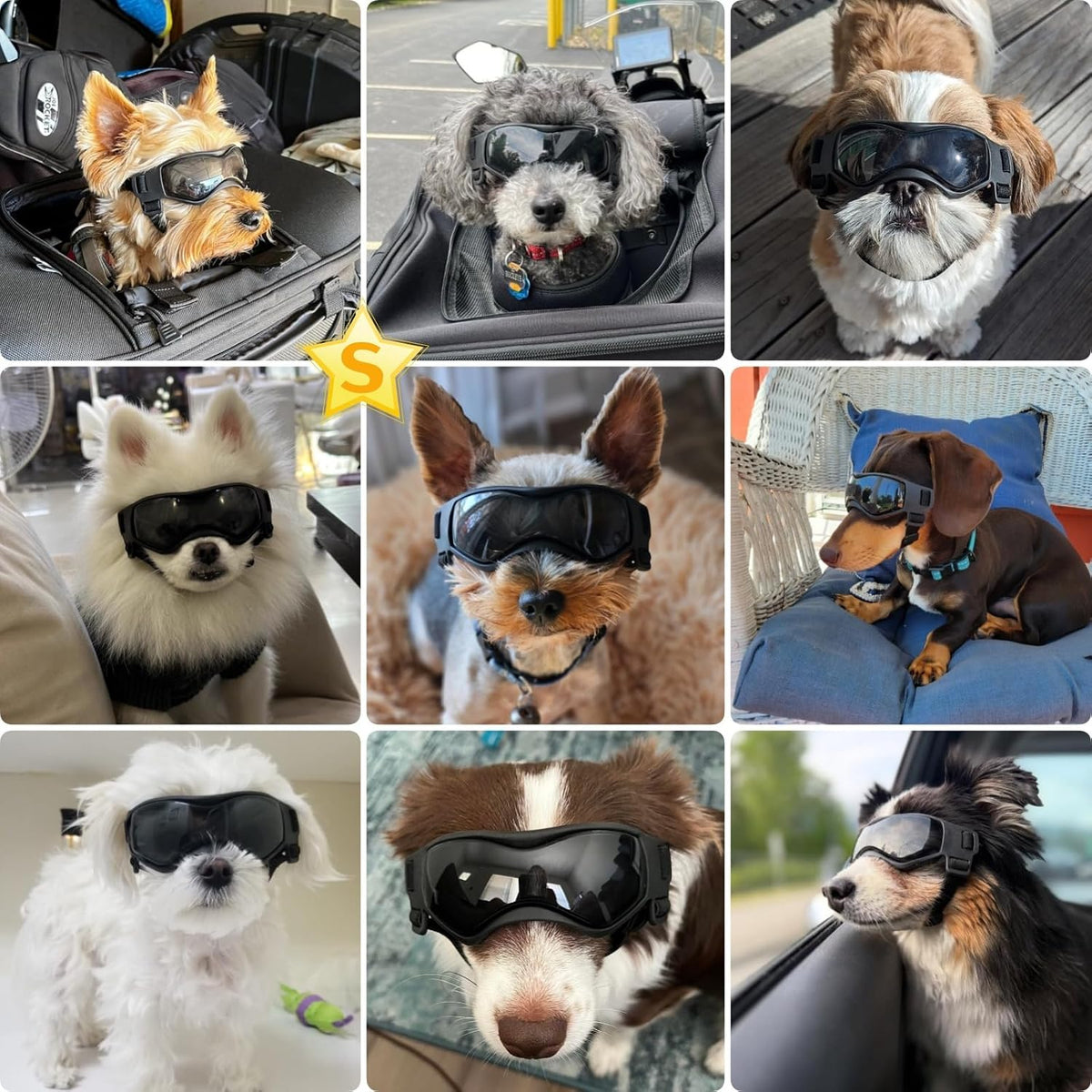 Dog Goggles Small Breed, Dog Sunglasses UV Protection Puppy Eyewear for Small Pet Outdoor Riding - Small / Black - image 2