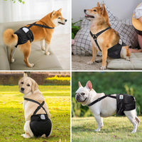 Idepet Female Dog Diapers with Suspender Detachable - 3 Pcs Black / M - image 2
