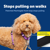 PetSafe 3 in 1 No-Pull Dog Harness, Walk, Train or Travel - Plum / Small (Pack of 1) - image 3