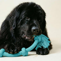 Playology Tug Rope Dog Toys for Large Dogs, Peanut Butter Scent - Mega / Peanut Butter - image 3