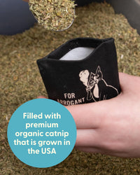 Blue Q Catnip - Cute Cat Toys for Biting with Funny Graphics -I Love My Cat – Essentials for Cats - Pompous Ass - image 3
