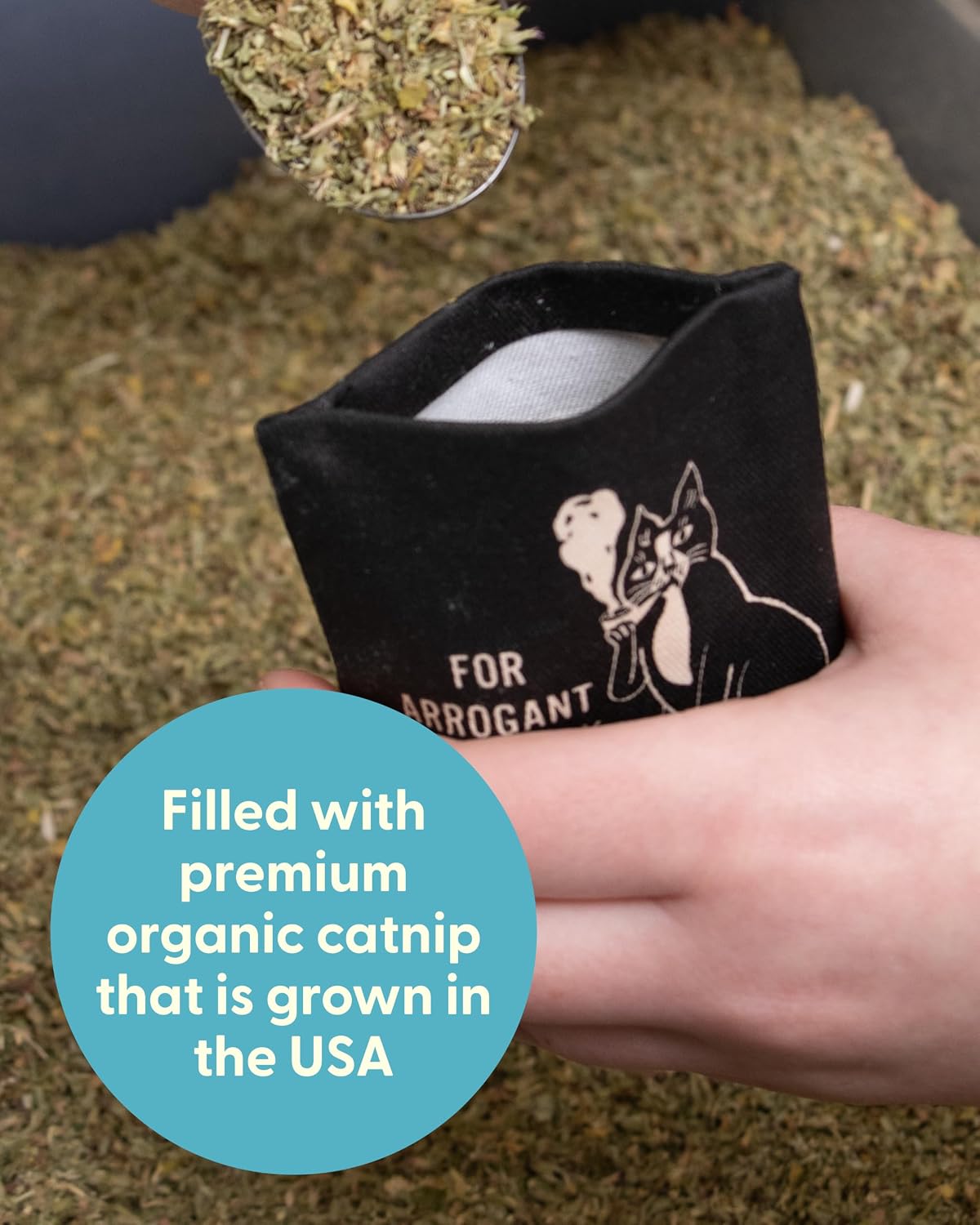 Blue Q Catnip - Cute Cat Toys for Biting with Funny Graphics -I Love My Cat – Essentials for Cats - Pompous Ass - image 3