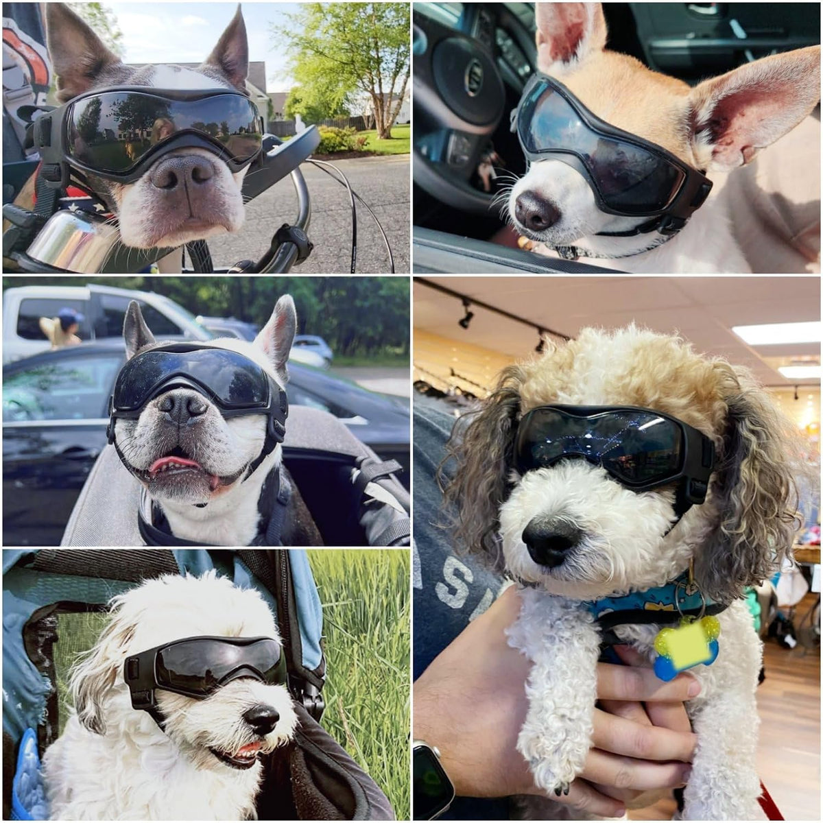 Clear Dog Goggles for Small Dogs - Cool Black / Medium - image 2