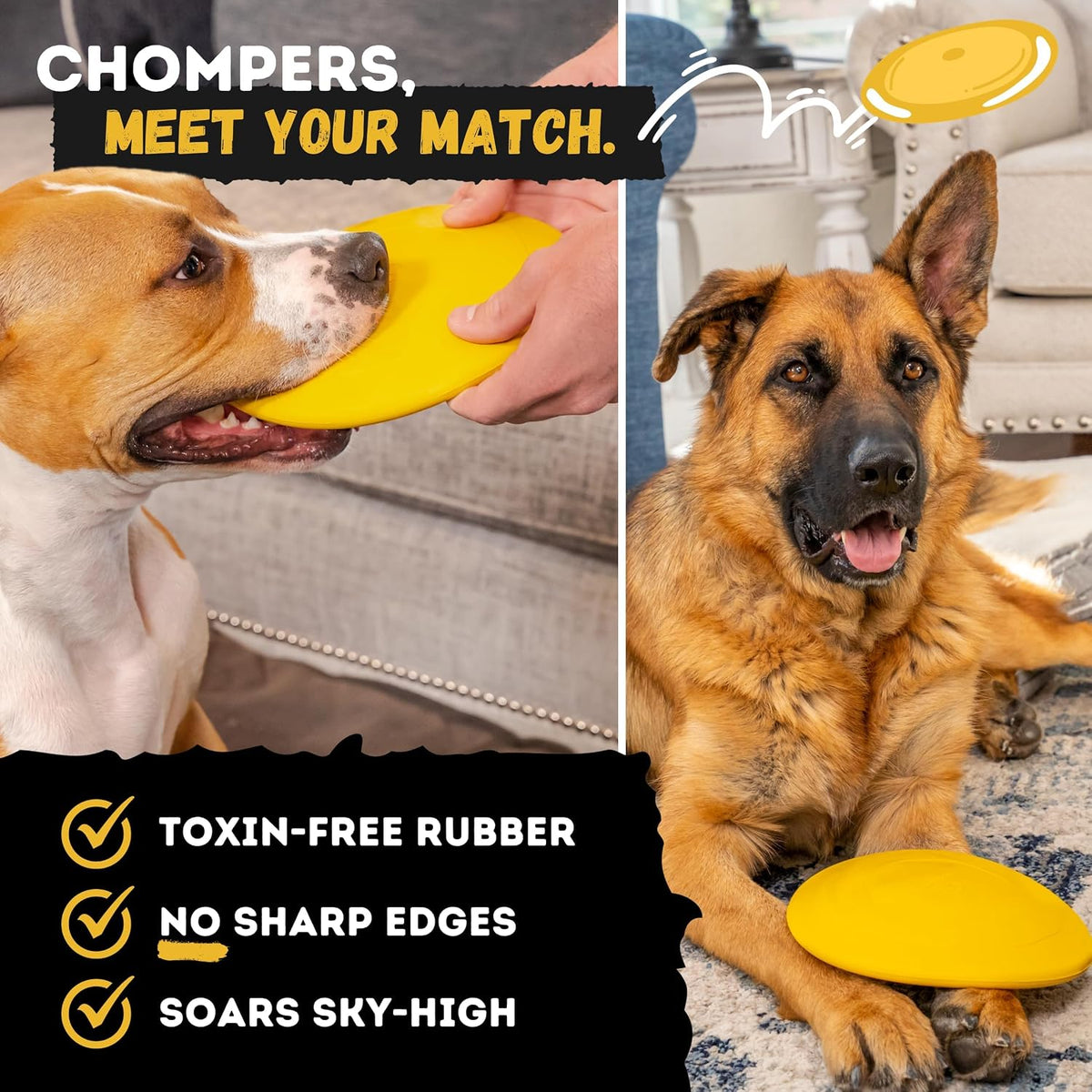 "Indestructible Dog Disc, Lifetime Replacement - image 3