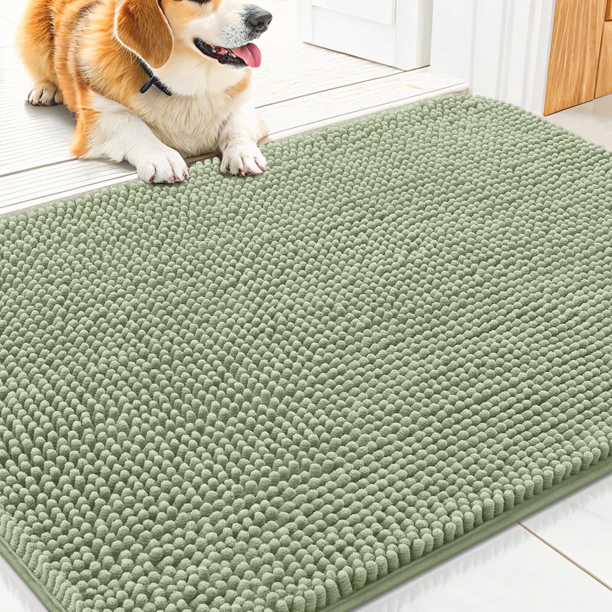 Smiry Dog Door Mat for Muddy Paws 30x20 - Classic Solid / Sage Green / 30"X20"
