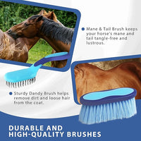 Horse Grooming Kit 9pcs Horse Brushes Equine Grooming Brushes Tack Room Supplies Set with Organizer Tote
