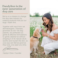 Dandylion Clean Paws | No-Rinse Dog Paw Cleaner & Puppy Paw Washer | Gentle, Fragrance-Free, pH Balanced Foaming Cleanser with Silicone Bristle Brush | Safe for All Dogs | 5 fl oz