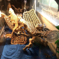 Bearded Dragon Tank Hammock - Square - image 2