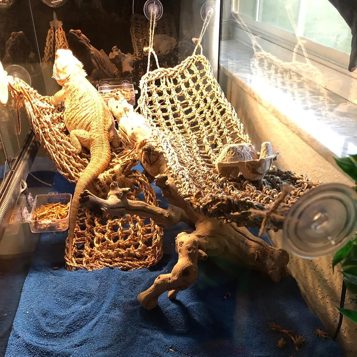 Bearded Dragon Tank Hammock - Square - image 2