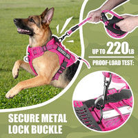 Dog Harness and Leash Set for Large Dogs - Rose Red / XL - image 3