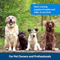 PetSafe Clik-R Dog Training Clicker - Purple - image 3