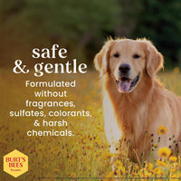 Burts Bees for Pets Oatmeal Dog Shampoo with Honey - Unscented / 16 Fl Oz (Pack of 2) - image 3
