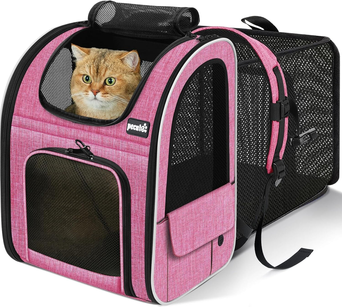 pecute Cat Backpack Expandable - Pink / 12.6"L x 10.2"W x 16.5"H / Mesh Window