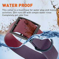 Dogline Biothane Waterproof Dog Collar Strong Coated Nylon Webbing with Black Hardware Odor- Proof for Easy Care Easy to Clean High Performance Fits Small Medium or Large Dogs, Merlot Burgundy