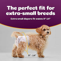 Inspire Pet Care Dog Diapers Female Dogs | Bulk Value Doggie Incontinence, Accidents, for Heat, Pee or Period and Housebreaking (X-Small (50 Count))