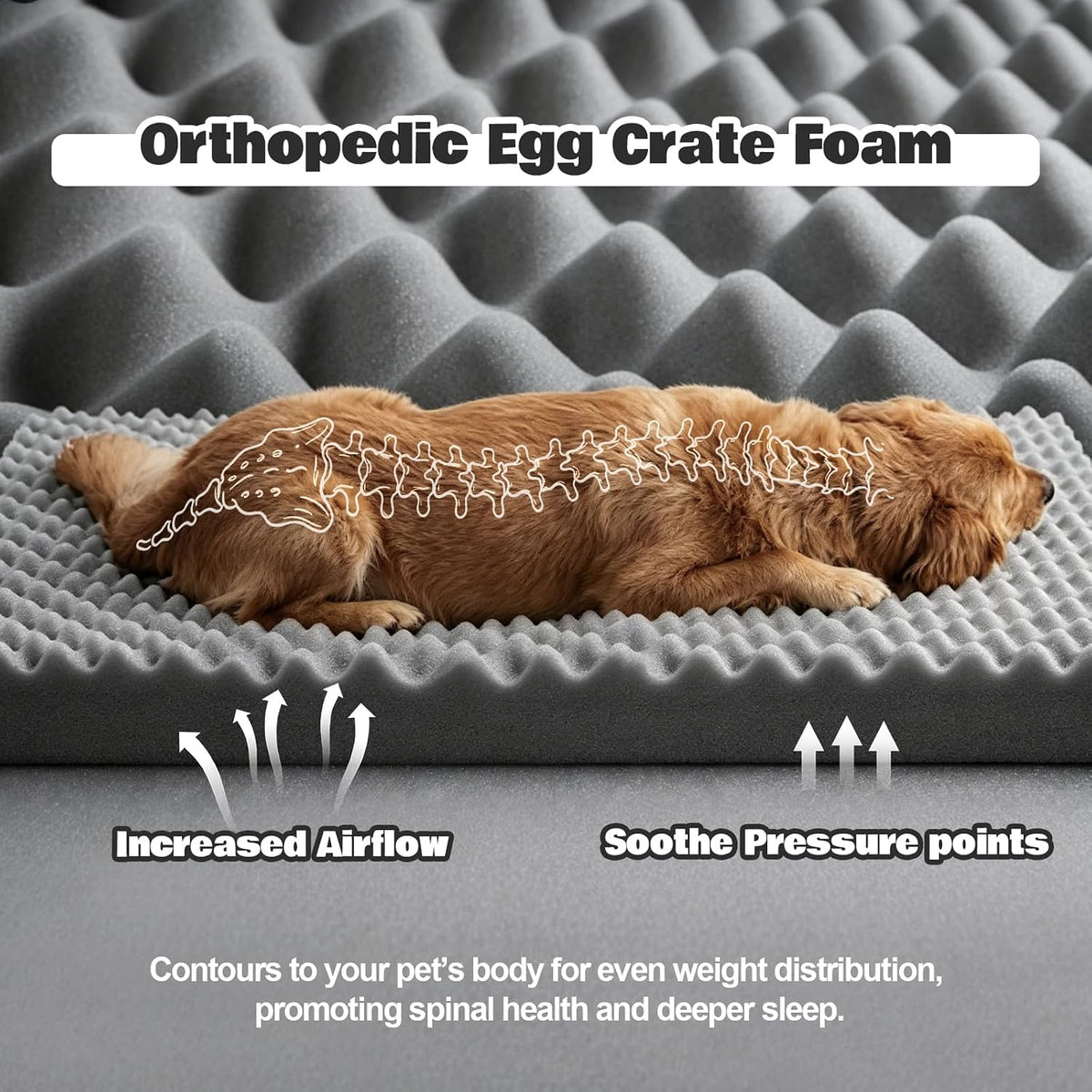 Orthopedic Dog Bed Medium Size Dog, Memory Foam Dog Bed Couch - Dark Grey / 36.0" L x 27.0" W x 6.7" Th - image 4