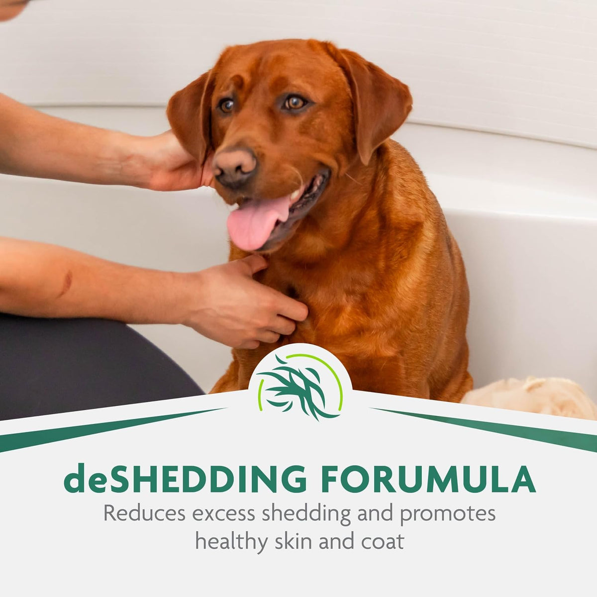 FURminator Ultra Premium deShedding Conditioner for Dogs - Shampoo / 16 oz - image 4