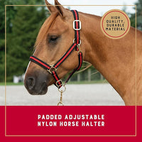 Weaver Leather Nylon Horse Halter, Padded and Adjustable, Chin and Throat Snap Hook Halters for Horses, Brass Plated Halters for Training