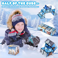 Euclidean Cube Fidget Toys for Kids 2 in 1 Star Cube Magic Cube - Polar Animal - image 4