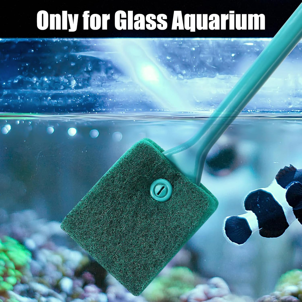 AQUANEAT Fish Tank Cleaning Tools - green / 3pcs - image 4