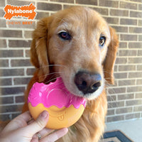 Nylabone Lobster Power Chew Toy for Dogs - Donut 1 Pack / Large - image 3