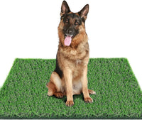 39.3 in X 31.5 in Grass Pad for Dogs for Professional Potty Training