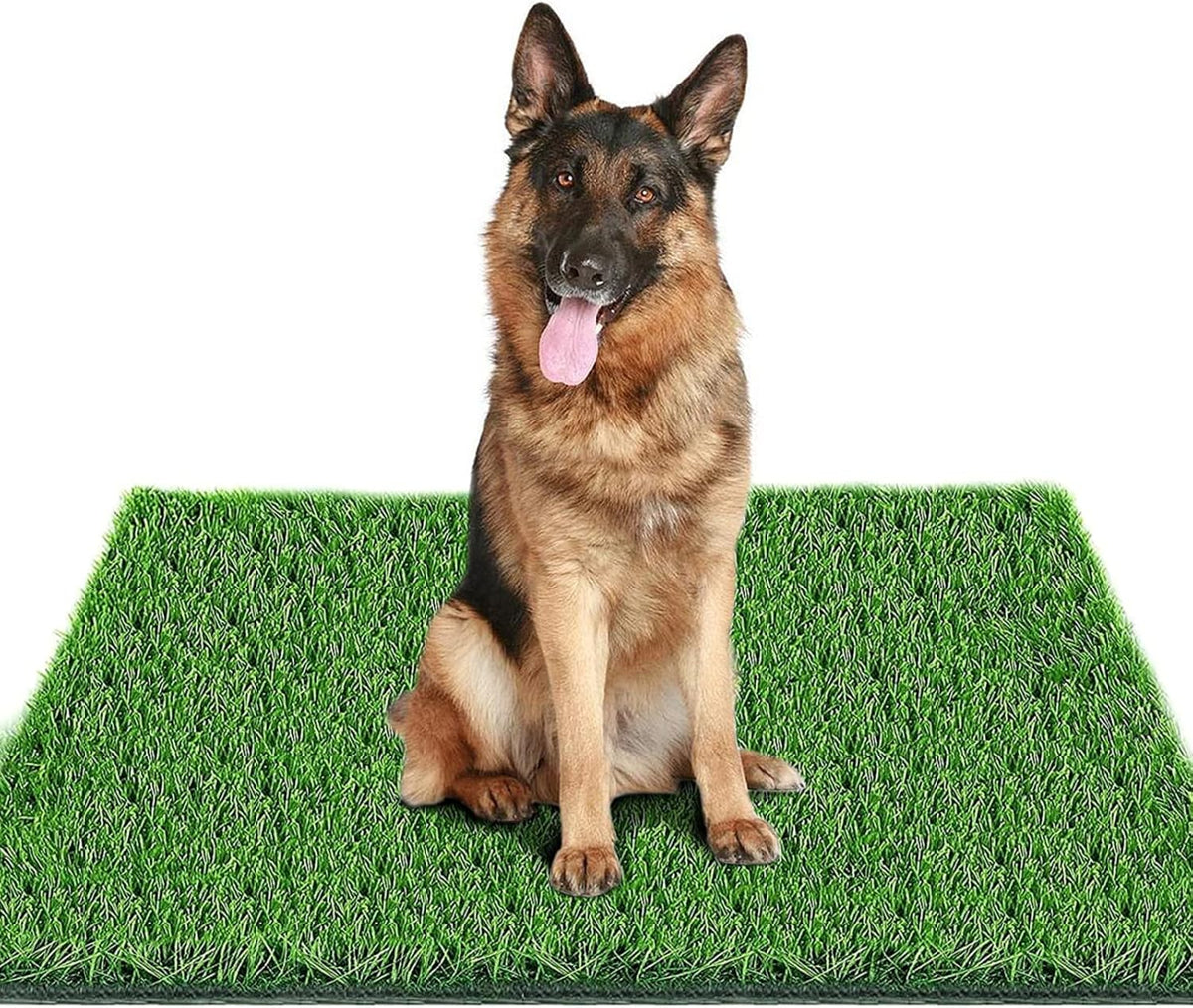 39.3 in X 31.5 in Grass Pad for Dogs for Professional Potty Training