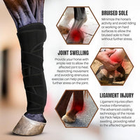 Hudson Comfort Horse Ice Boots Set of 4 – Cooling Horse Ice Pack Wrap for Knee, Hock, Ankle, Hooves Injury – Hot and Cold Therapy Horse Leg Wraps – Full Coverage Cold Packs - 4 Wraps + 8 Gel Packs