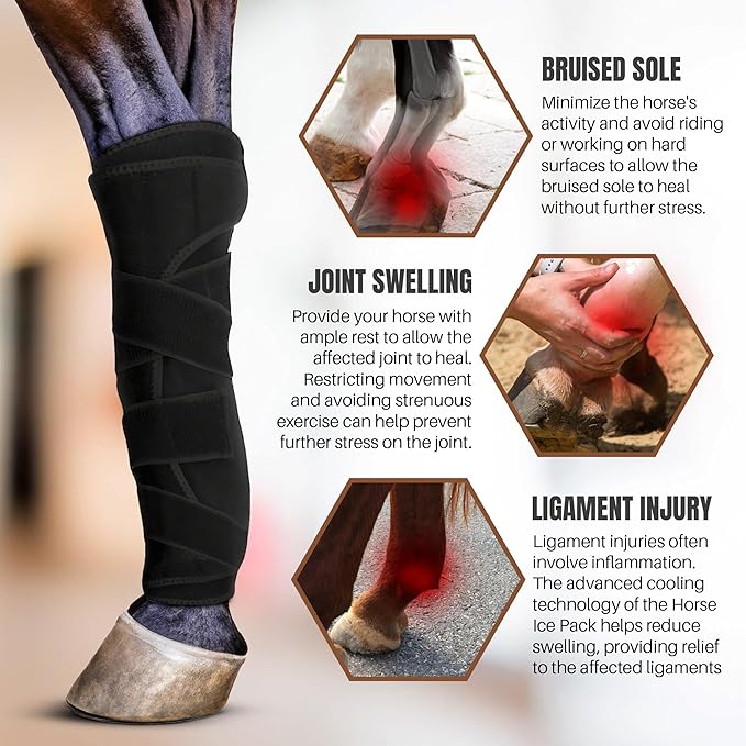 Hudson Comfort Horse Ice Boots Set of 4 – Cooling Horse Ice Pack Wrap for Knee, Hock, Ankle, Hooves Injury – Hot and Cold Therapy Horse Leg Wraps – Full Coverage Cold Packs - 4 Wraps + 8 Gel Packs