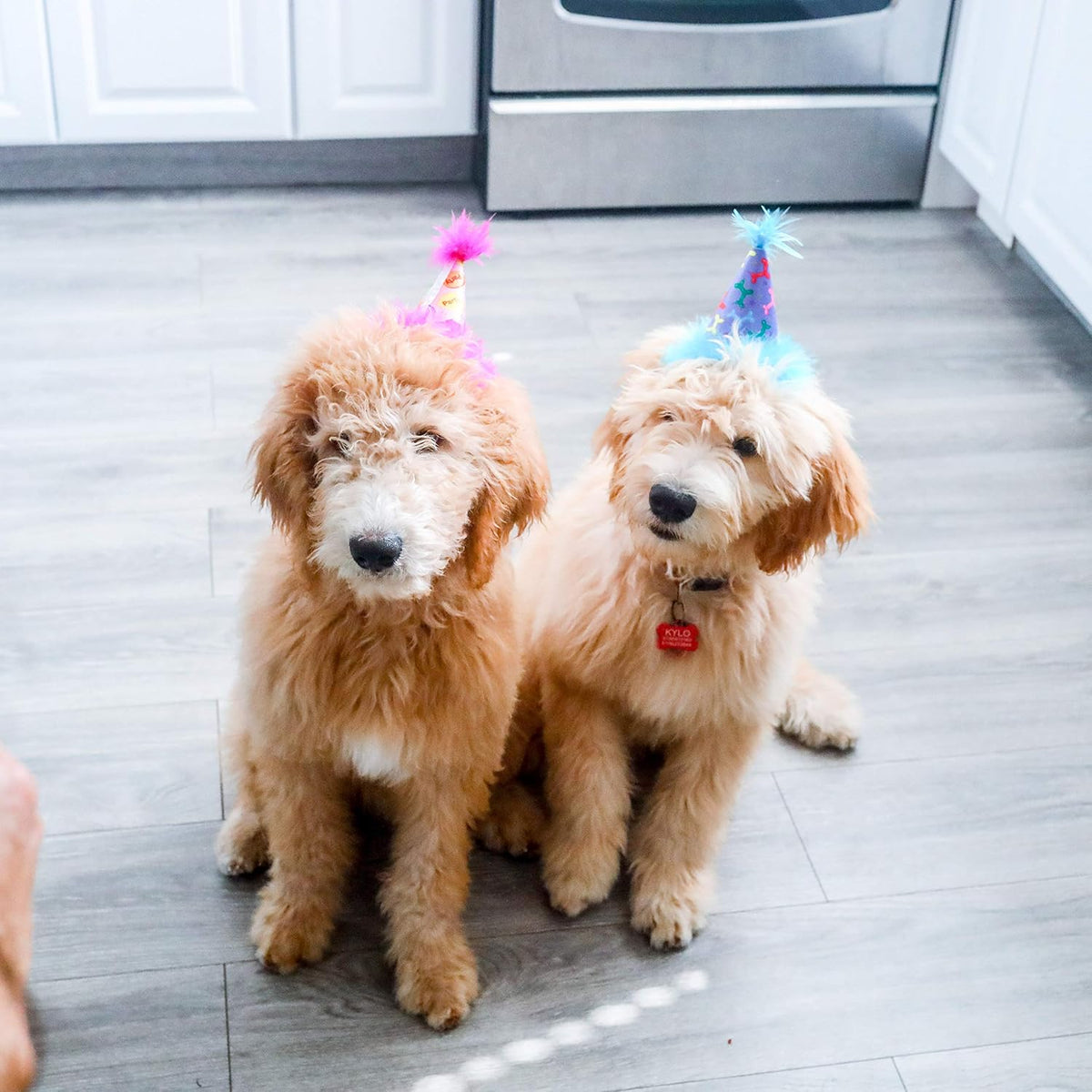 Huxley & Kent Party Crown Hat for Dogs & Cats - Large / Pink Party Time - image 4