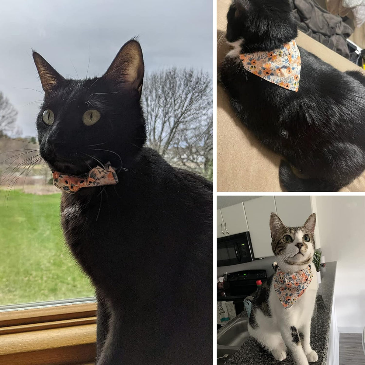 Fall Cat Collar with Bowtie - 7.5"- 10.5" / Orange Floral - image 3