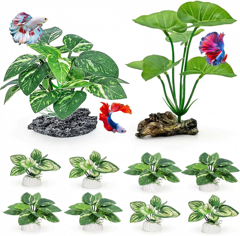 2-Pack Aquarium Decor Fish Tank Decorations 6-inch Betta Fish Tank - D（green 10 Pack）