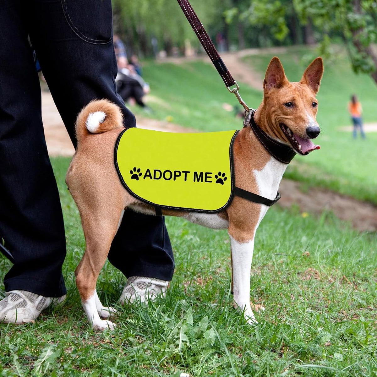 Rescue Dog Jacket Vest Adopt Me Vest Foster Dog Slogan – Essentials for Dogs - Adopt Me-Small - image 2
