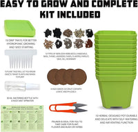 10 Herb Seeds Garden Starter Grow Kit with Green Pots, Markers, Nutritional Soil, Watering, Herb Clipper, Complete Indoor Potted Plant Growing Set for Kitchen DIY