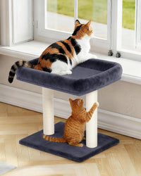 19" Small Cat Tree with Scratching Post for Indoor Cats with Perch – Essentials for Cats - Dark Gray - image 4