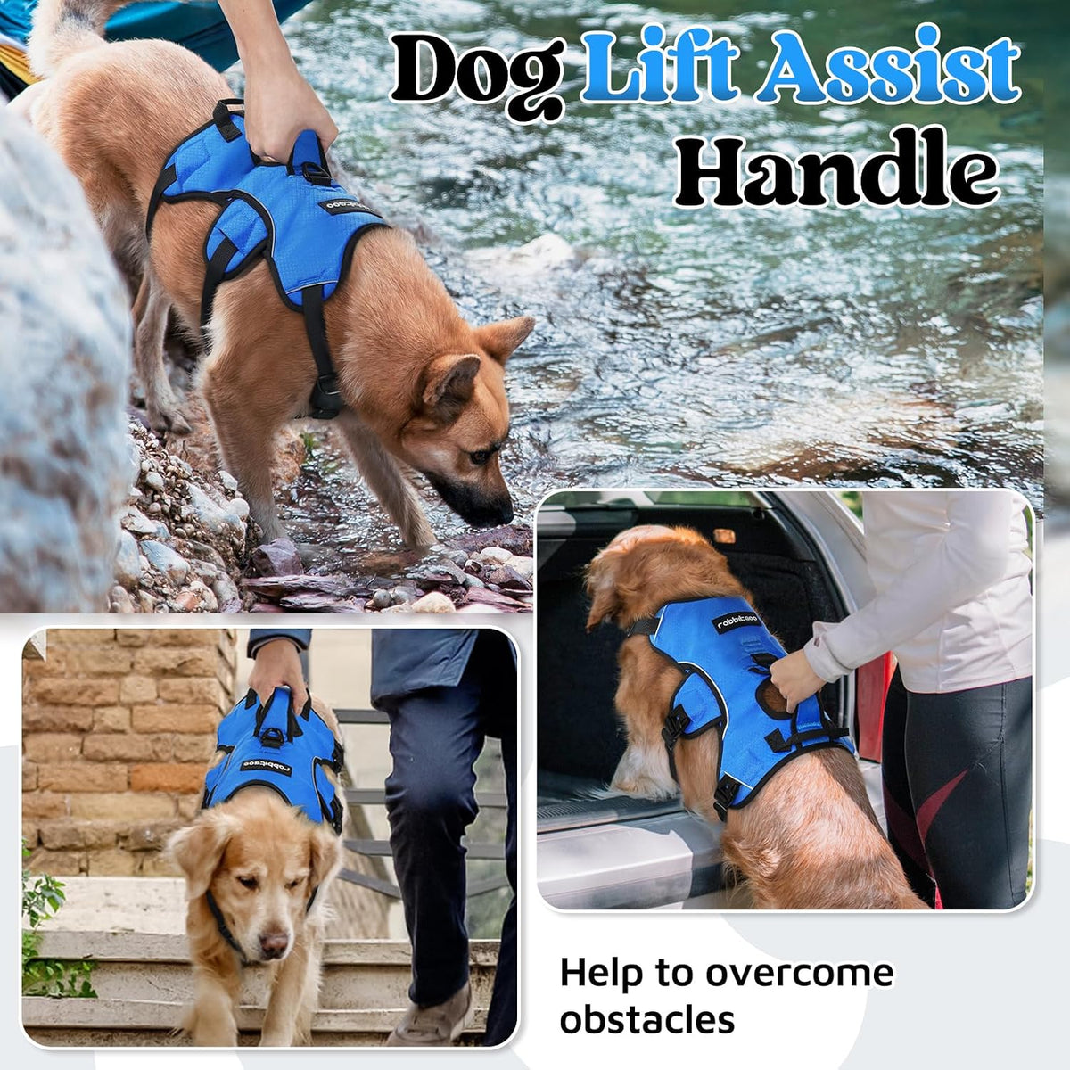 rabbitgoo Escape Proof Dog Harness for Large - Blue / Large - image 3